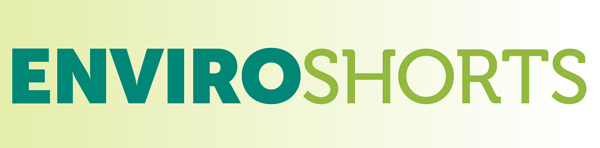 EnviroShorts Logo