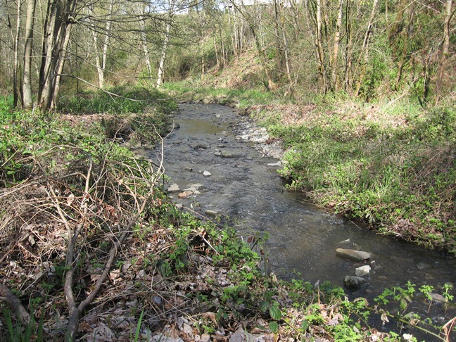Image of First Creek