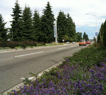 Image of Central Neighborhood Sign