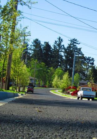 Wapato Lake Drive