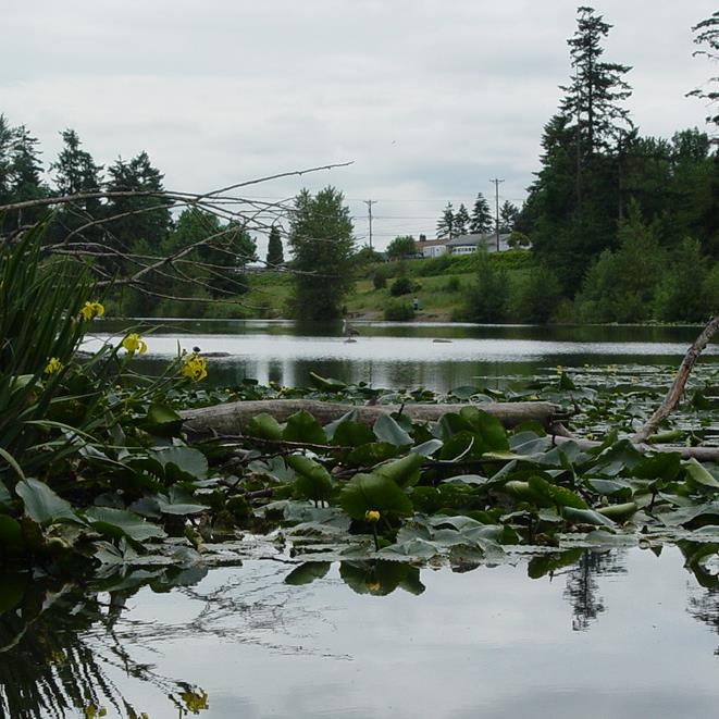 Wapato Lake