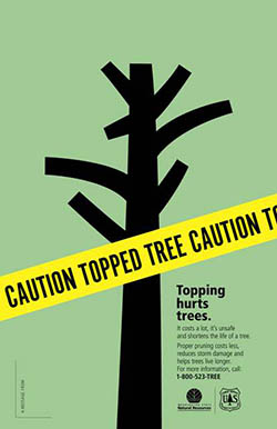 DNR Anti Tree Topping Flyer