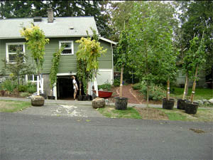 Image of house for Neighborhood Planting Image of house for Neighborhood Planting