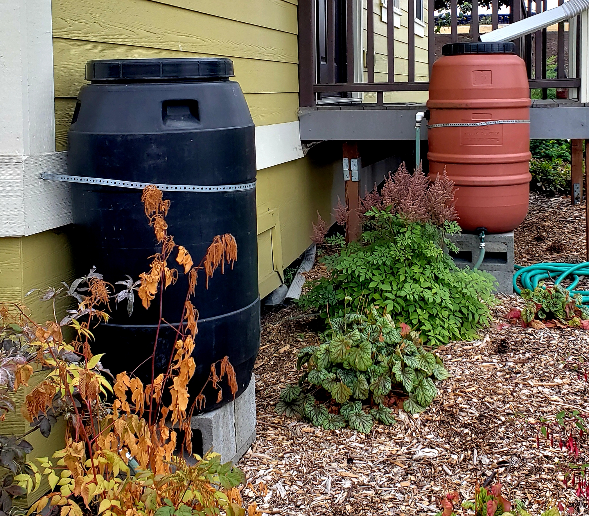 Rain Barrels