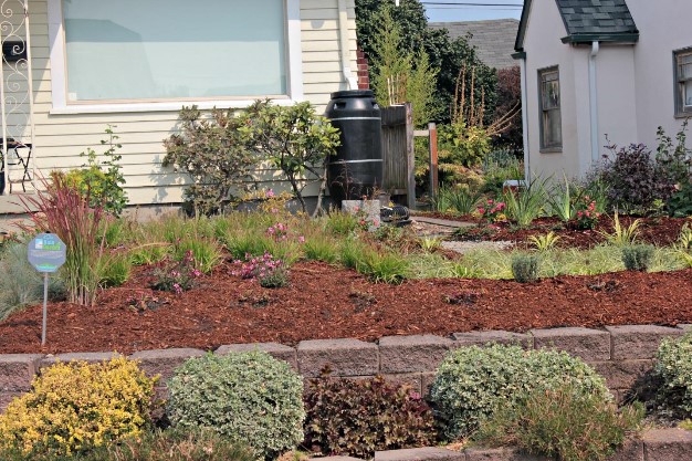 53rd St Rain Garden