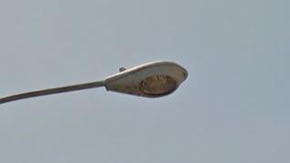 Picture of an Existing Cobra Head Light