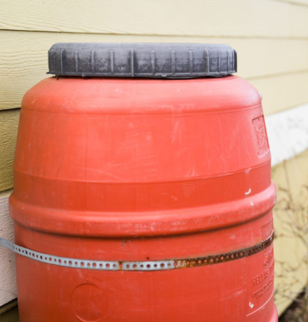 Rain Barrel