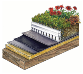 Green Roof Diagram