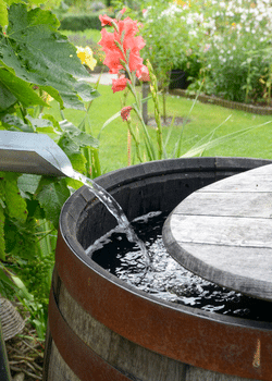 Rain Barrels