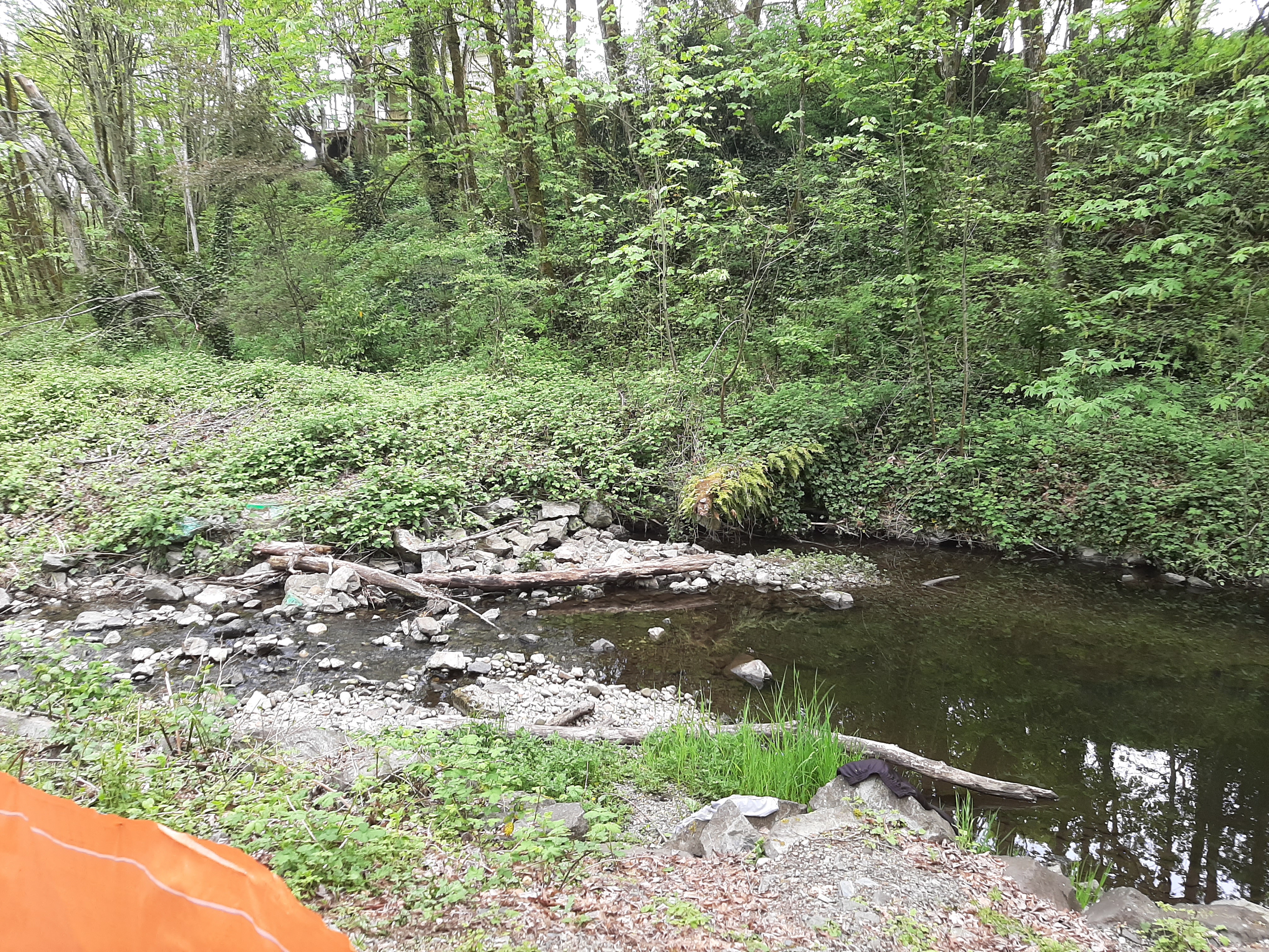 Lower Puyallup Watershed