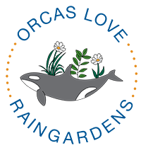 Orcas Love Raingardens