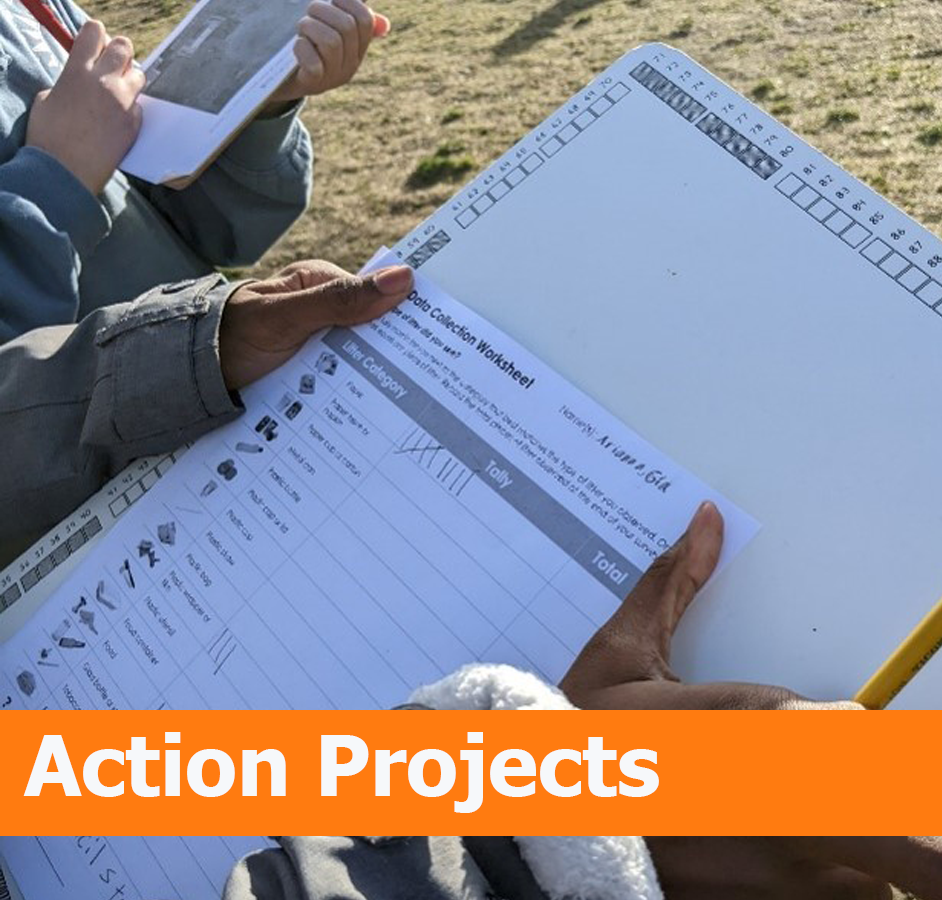 Action Projects Action Projects