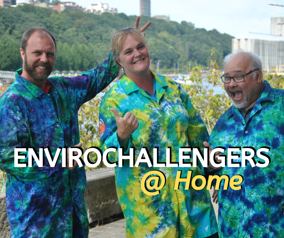 EnviroChallenge At Home EnviroChallenge At Home