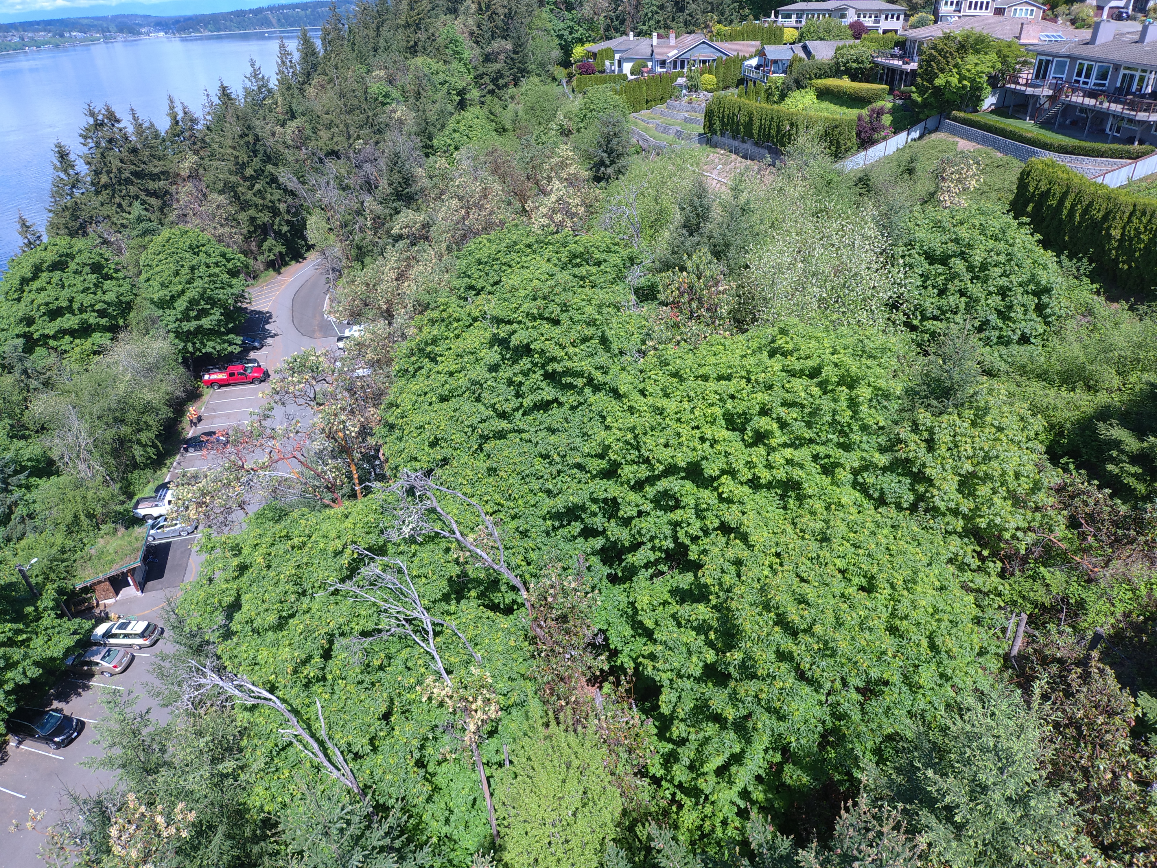 Aerial View of Salmon Beach Slope Aerial View of Salmon Beach Slope