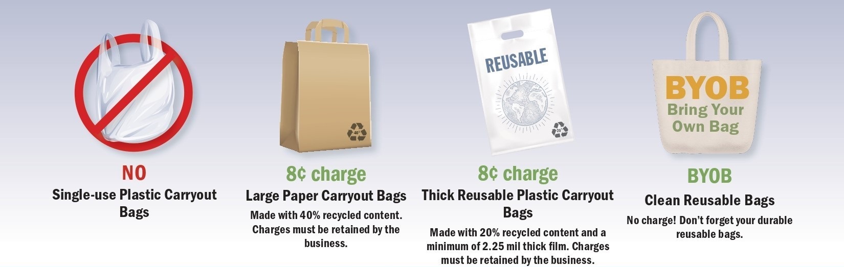 Ecology Plastic Bag Ban Summary