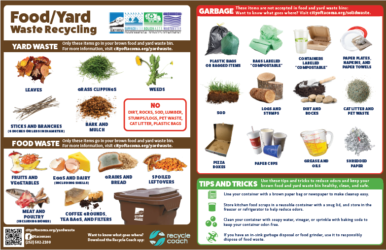 Food Yard Waste Flyer Preview