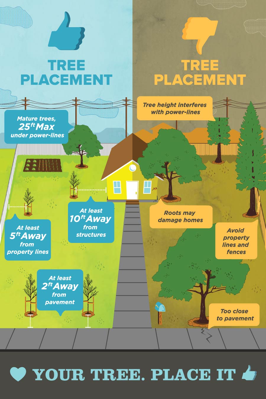 Tree Selection Postcard