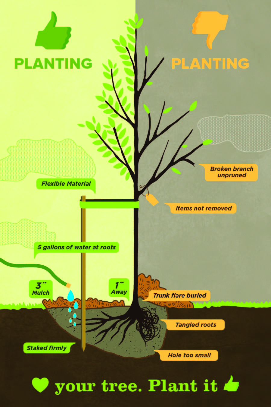 tree planting postcard