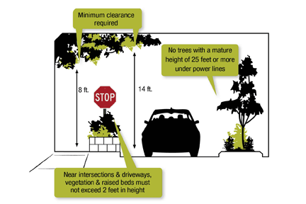 Tree Planting Clearance Standards