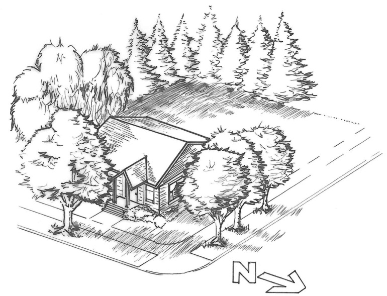 Tree planting location Tree planting location