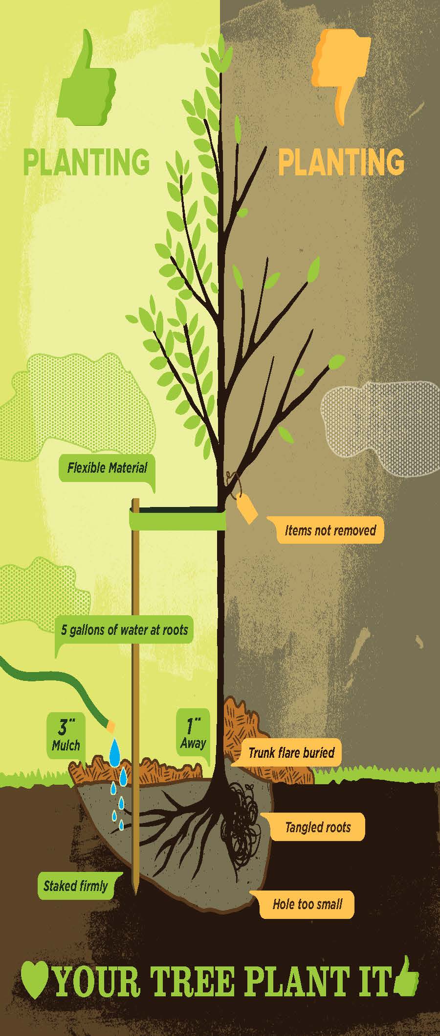 Planting postcard Planting postcard