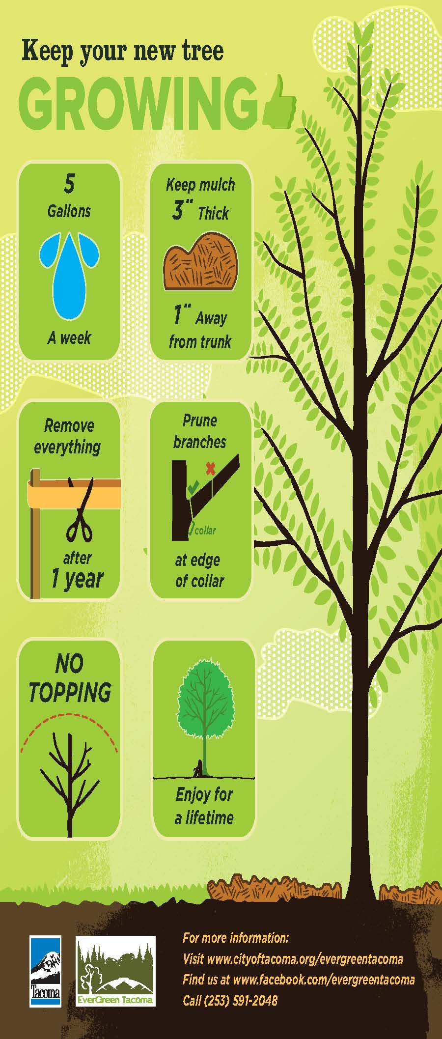 Planting Postcard_back Planting Postcard_back