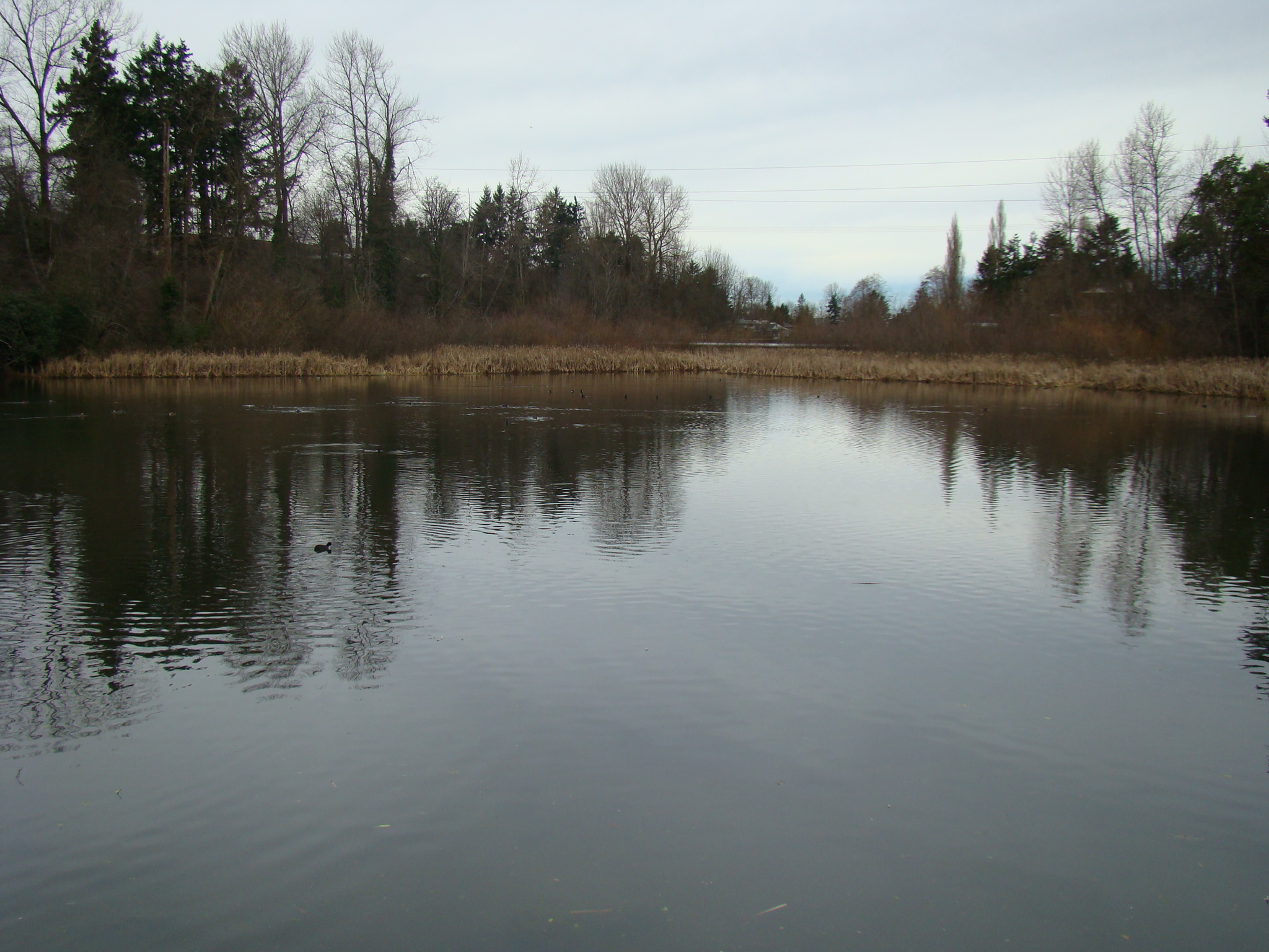 Wapato Lake