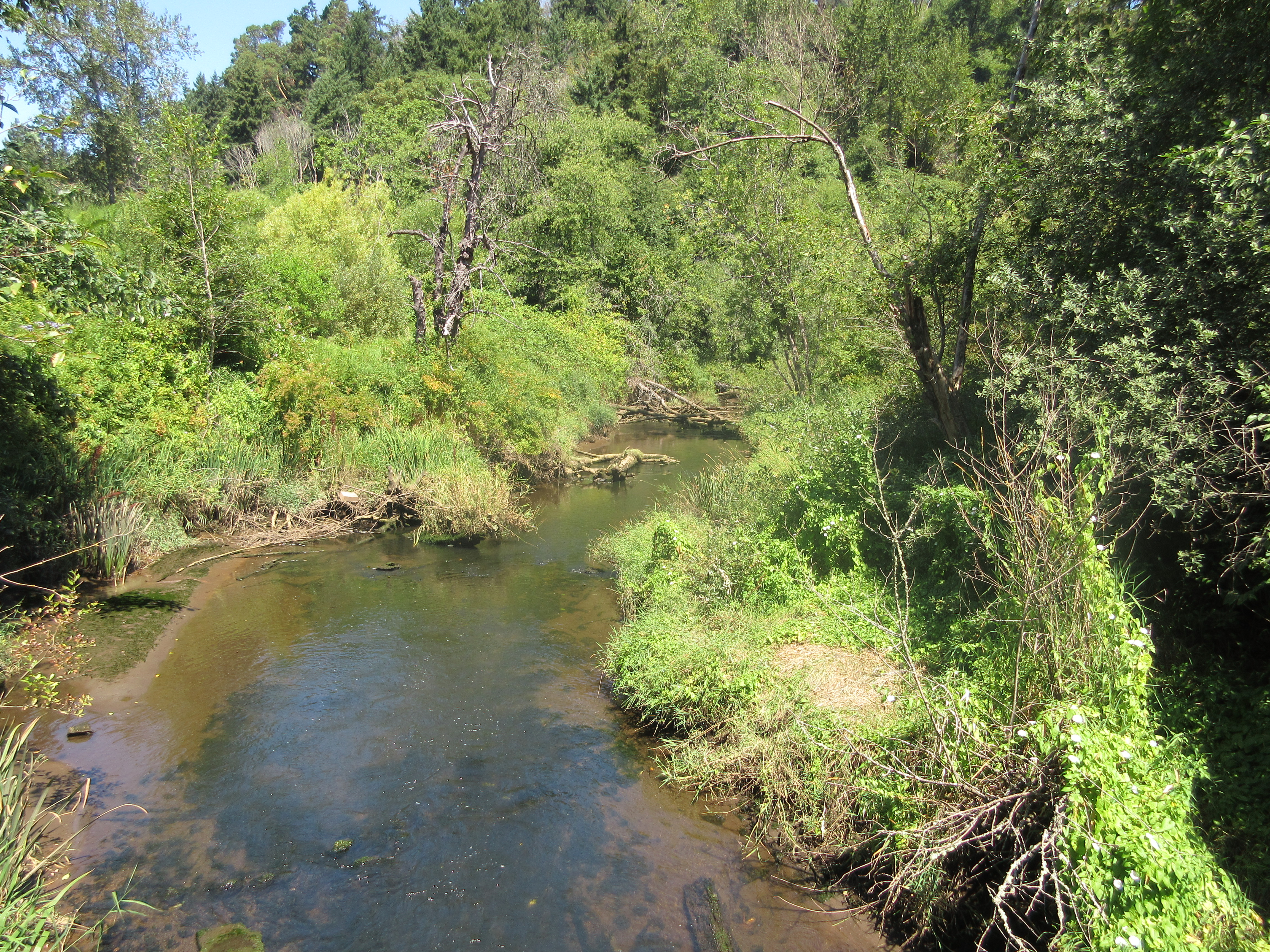 NE Tacoma Watershed