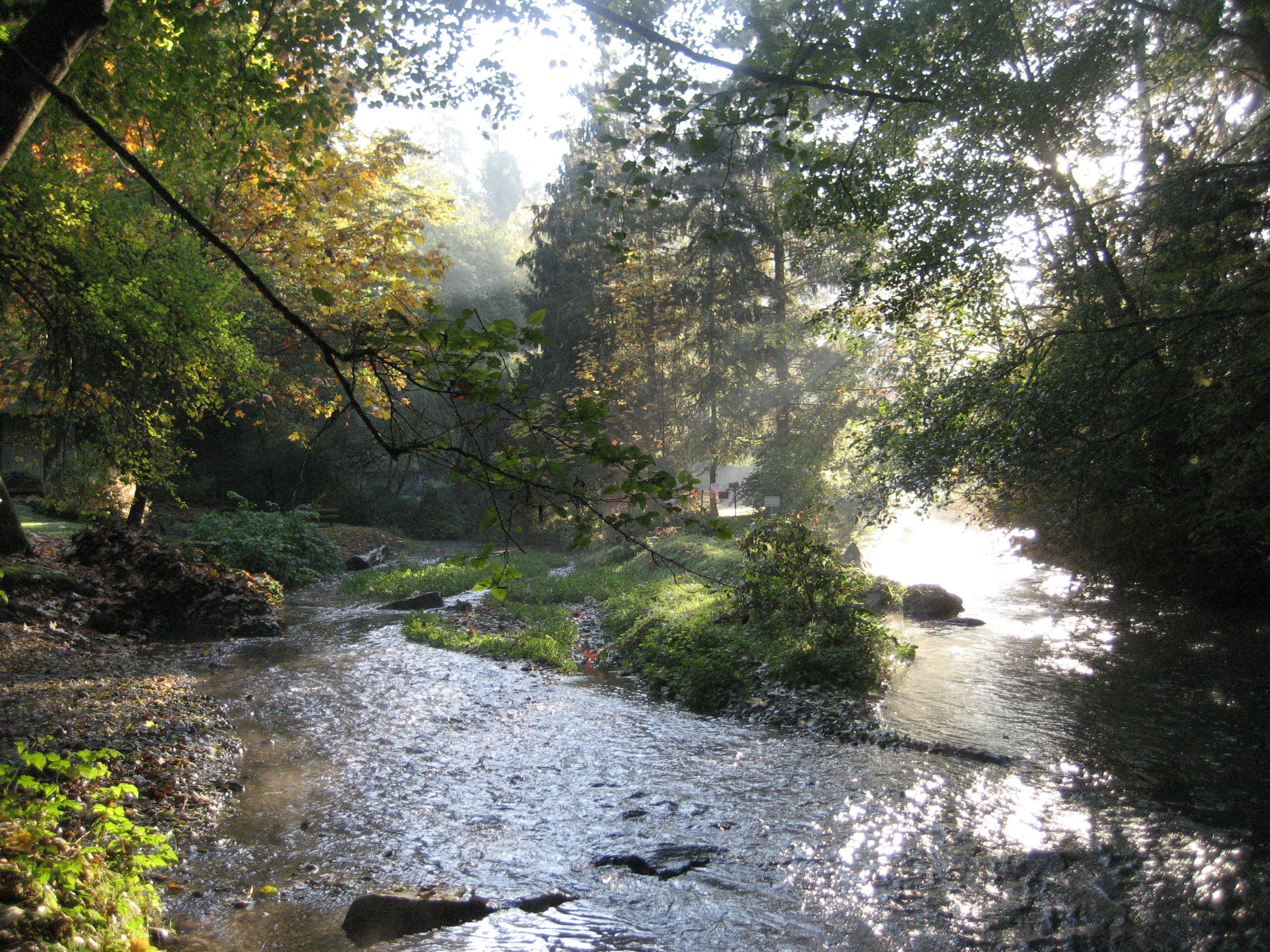 Leach Creek Watershed