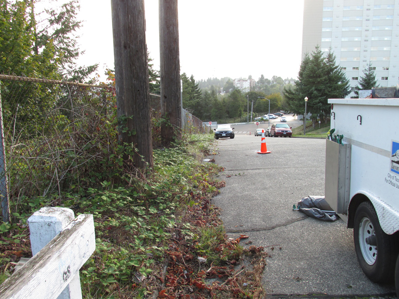 Photo of S. 32nd St. before Community Work Crew project