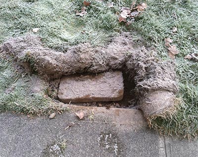 Image of an uncovered junction box Image of an uncovered junction box